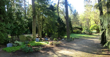 Friedhof Buchholz