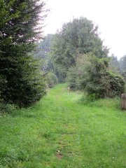14-Alter-Schulweg.jpg