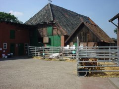 DSC01853.JPG