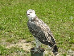 DSC01887.JPG