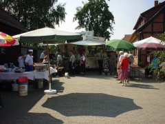 DSC01899.JPG