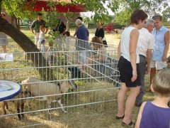 DSC01942.JPG