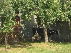 Dsc01871.jpg